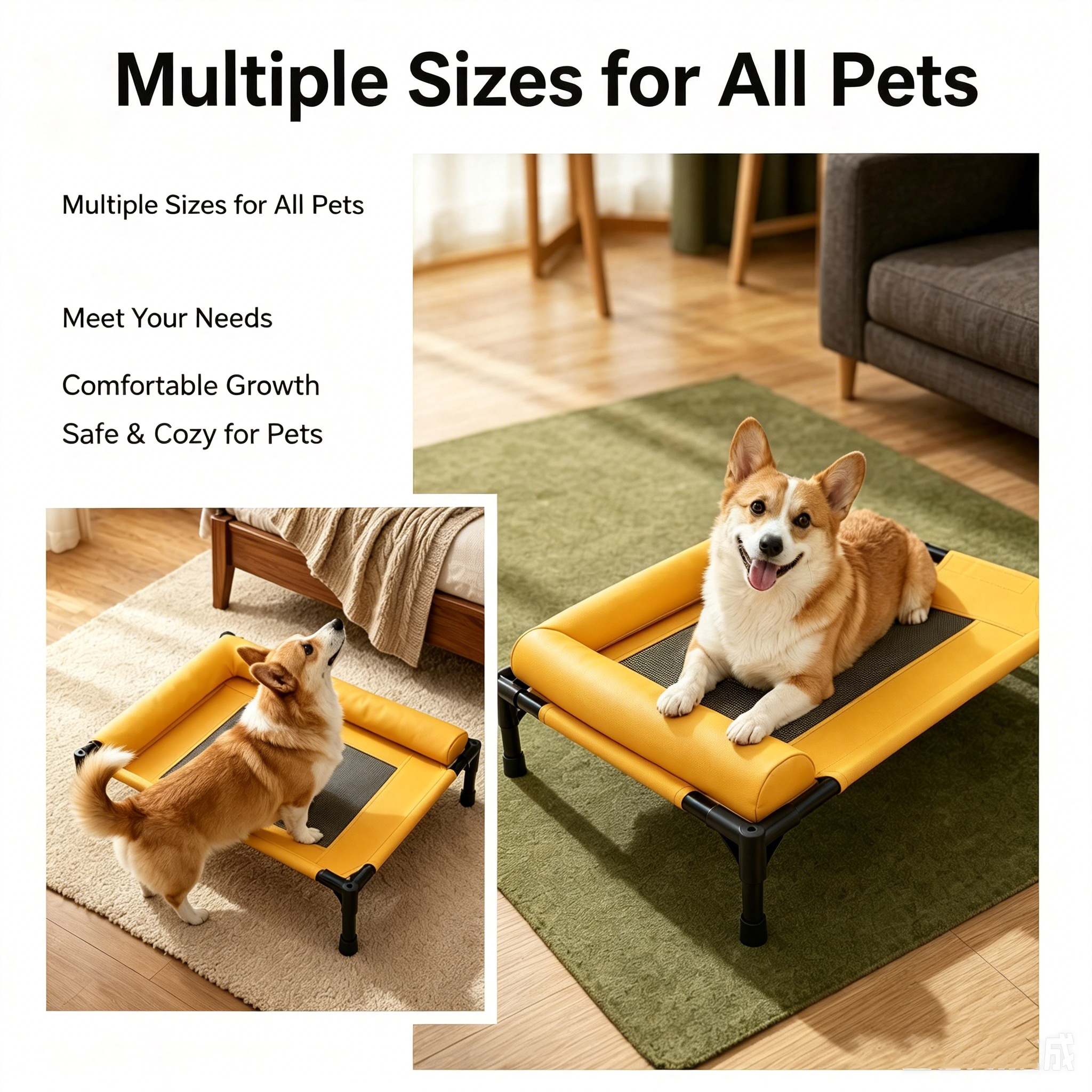 Breathable Elevated Dog Cot Bed, Off-Ground Moisture-Proof, Adjustable Height Pet Bed